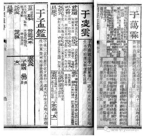 吃瓜娱乐社的个人展示页